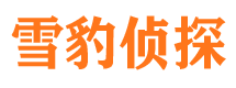 浦东市侦探调查公司